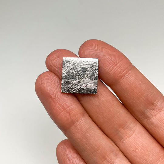 Muonionalusta Meteorite Slice