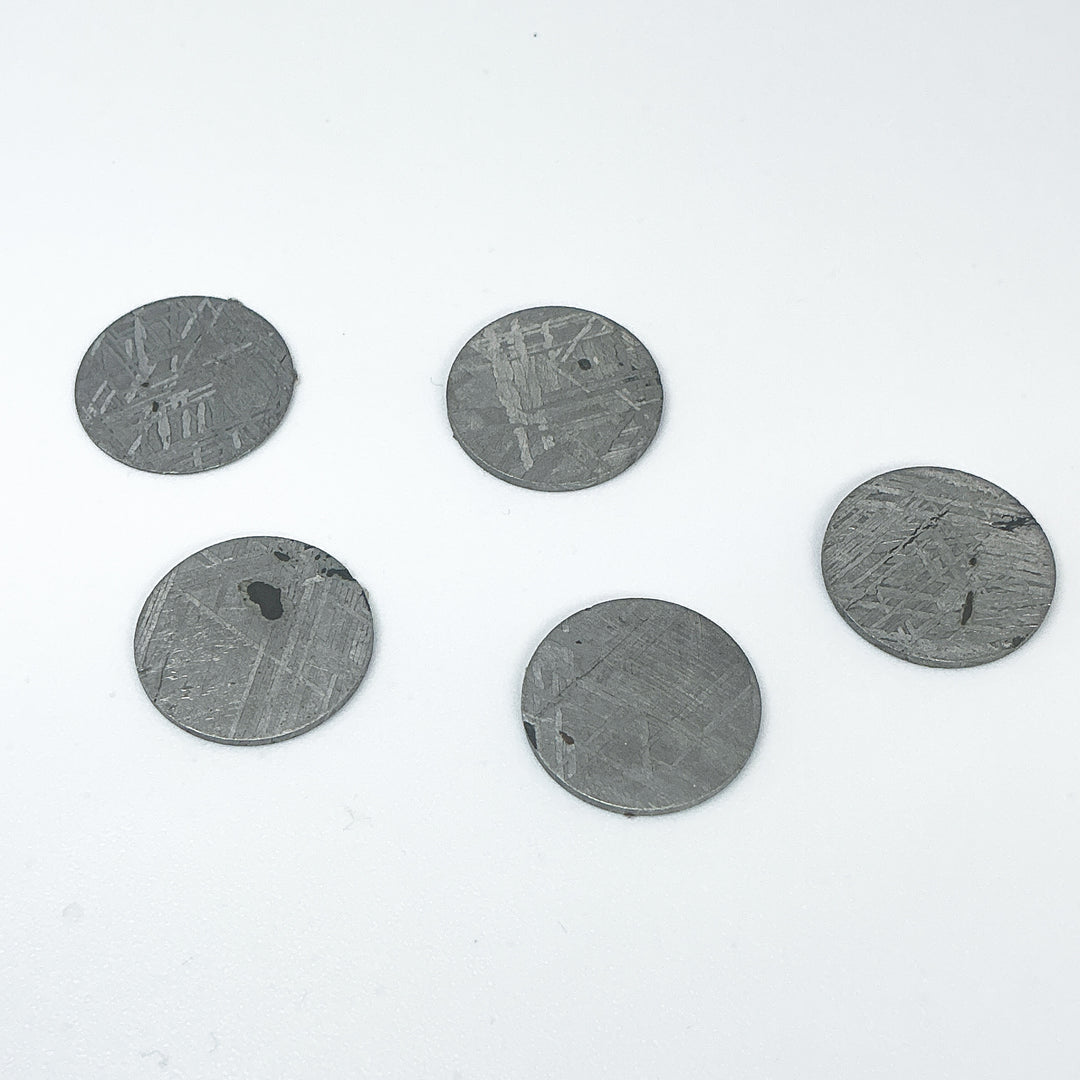 Muonionalusta Meteorite Round Disk