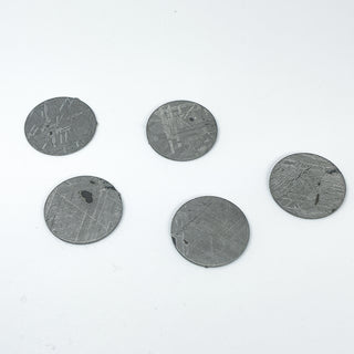 Muonionalusta Meteorite Round Disk