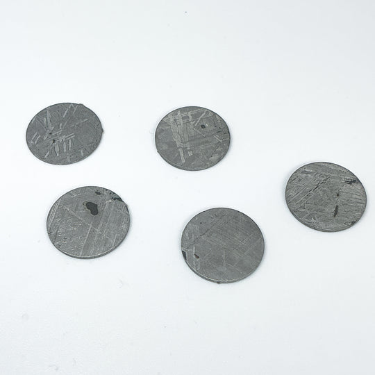 Muonionalusta Meteorite Round Disk