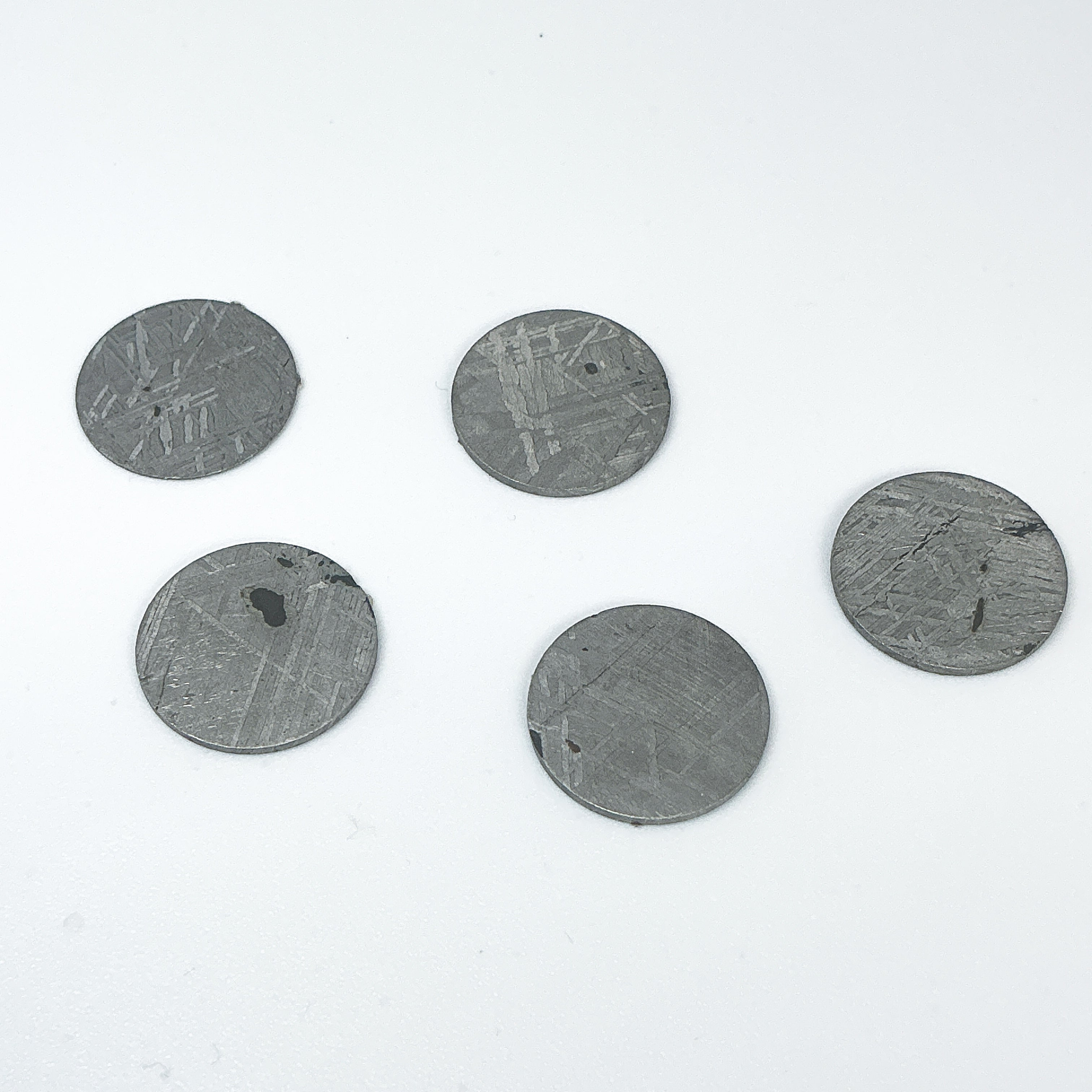 Muonionalusta Meteorite Round Disk - Rocks and Gems Canada