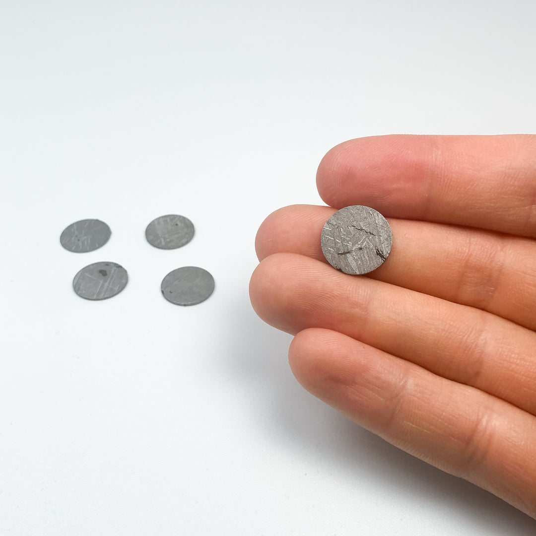 Muonionalusta Meteorite Round Disk