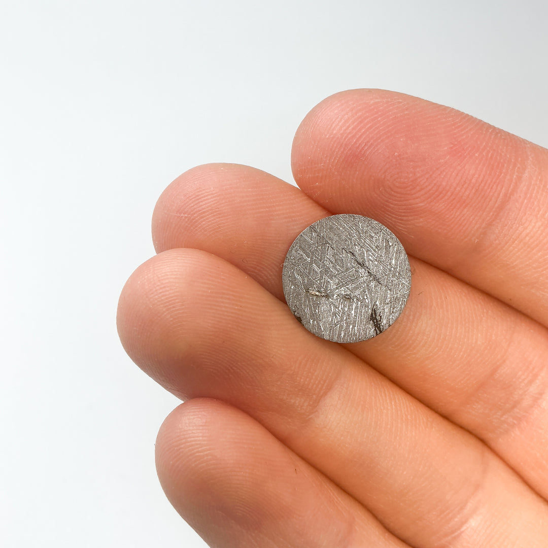 Muonionalusta Meteorite Round Disk