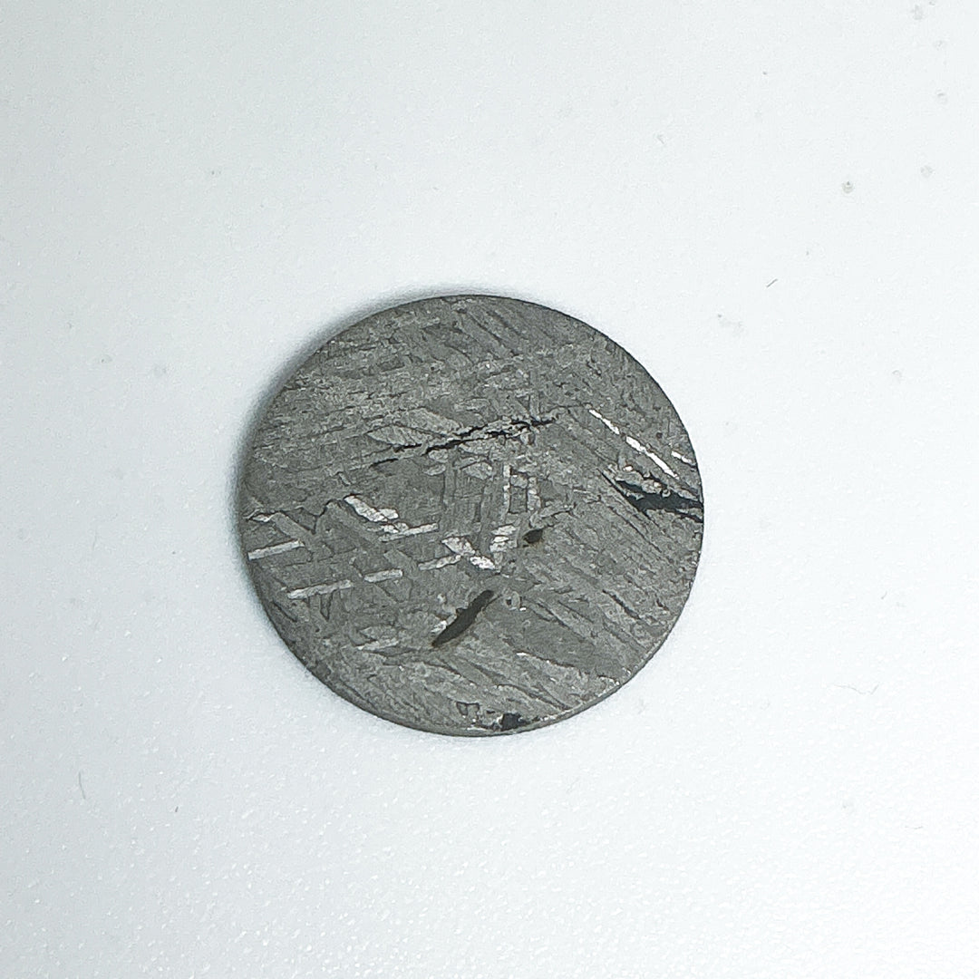 Muonionalusta Meteorite Round Disk