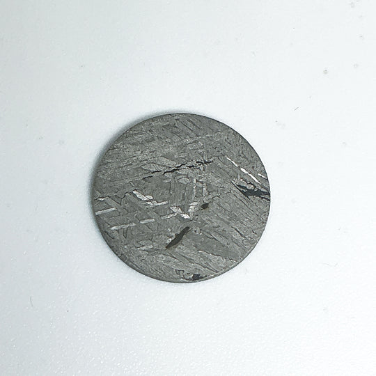 Muonionalusta Meteorite Round Disk