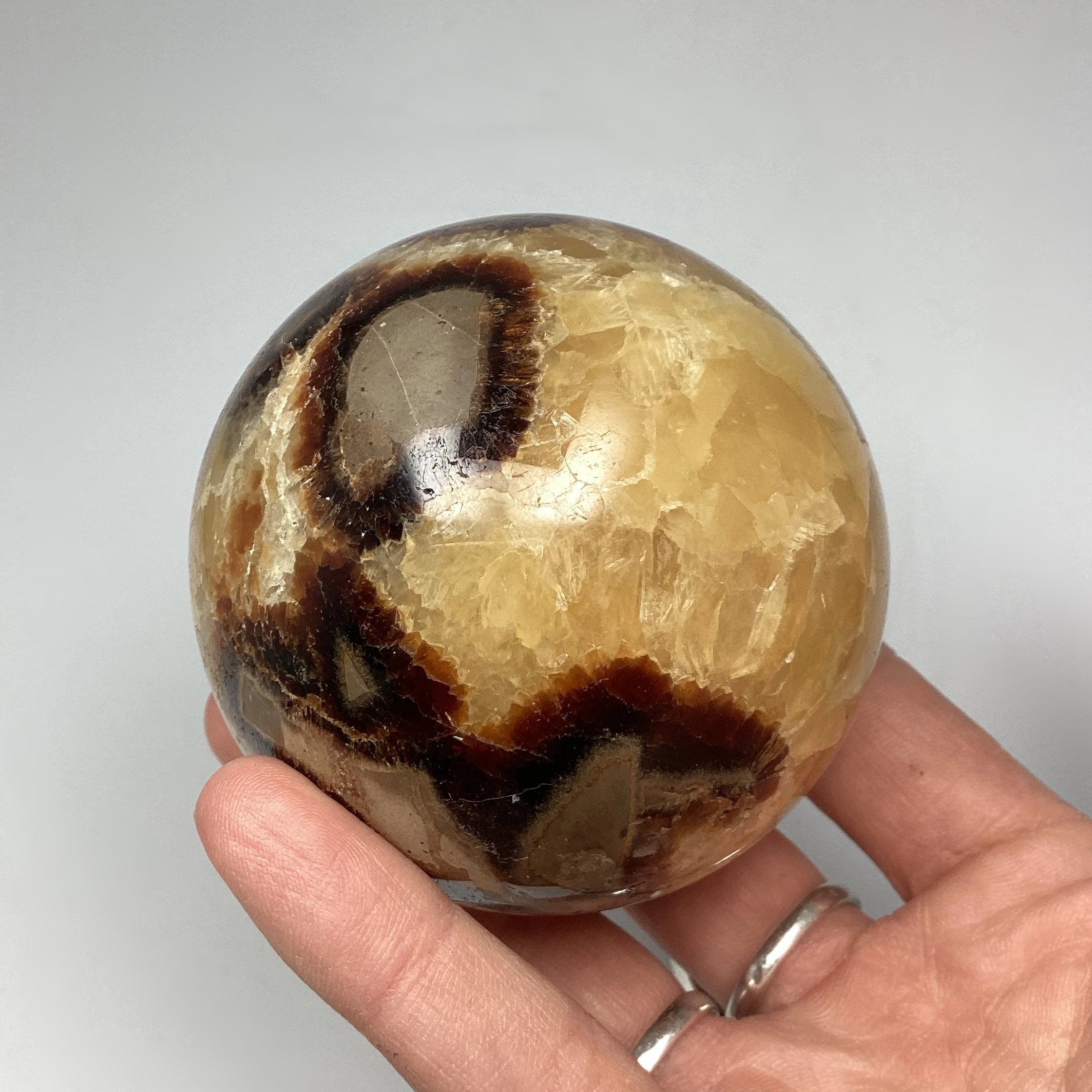 Septarian Sphere - Rocks and Gems Canada