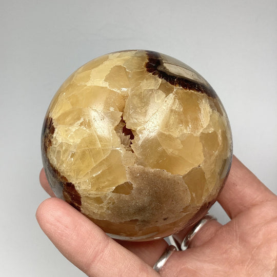 Septarian Sphere - Rocks and Gems Canada