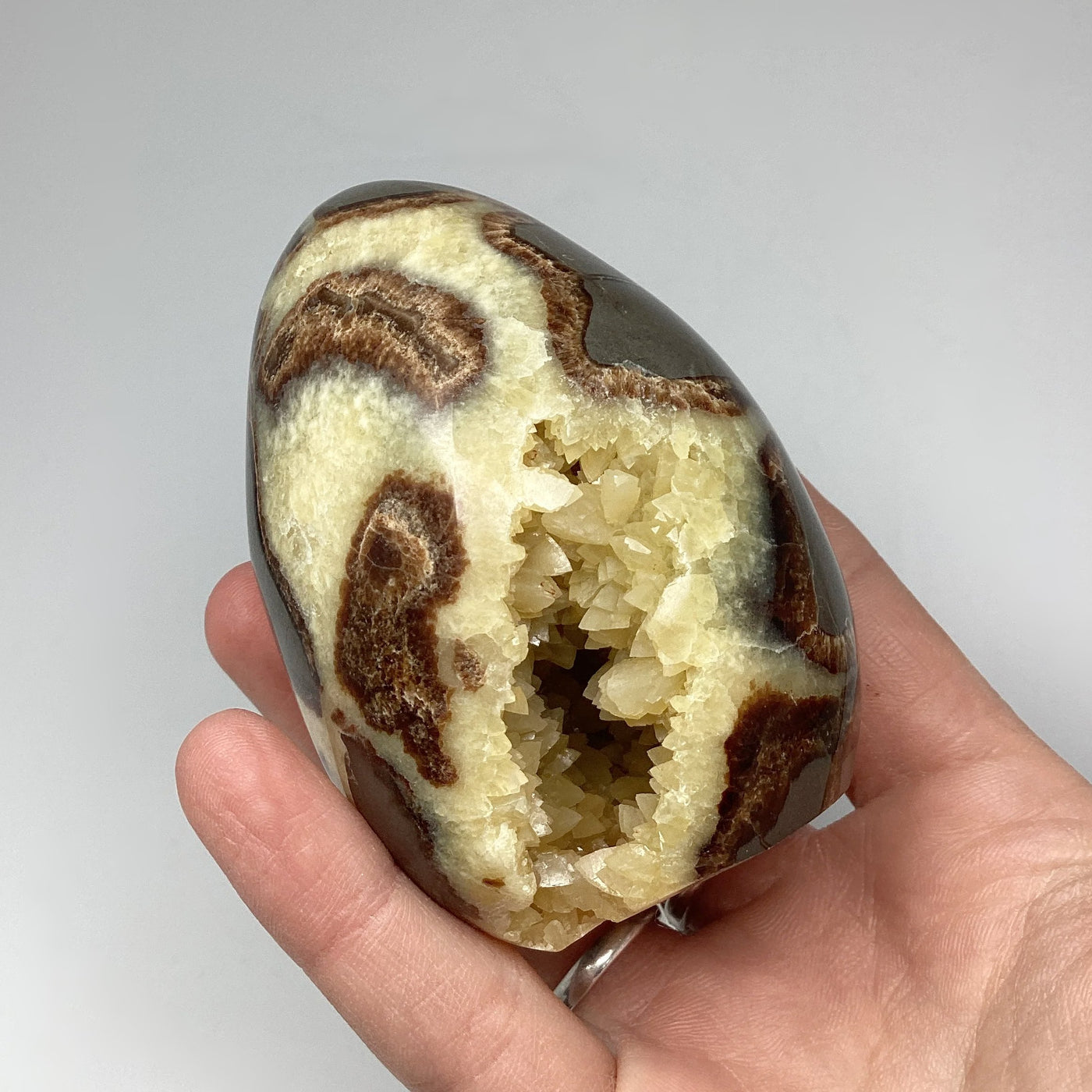 Septarian Egg Stand Up