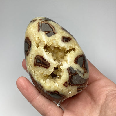 Septarian Egg Stand Up Piece