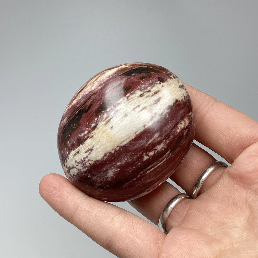 Petrified Wood Tumble - Rocks and Gems Canada