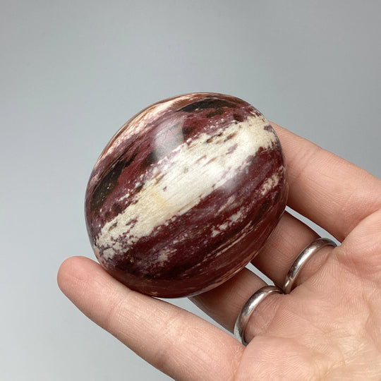 Petrified Wood Tumble - Rocks and Gems Canada