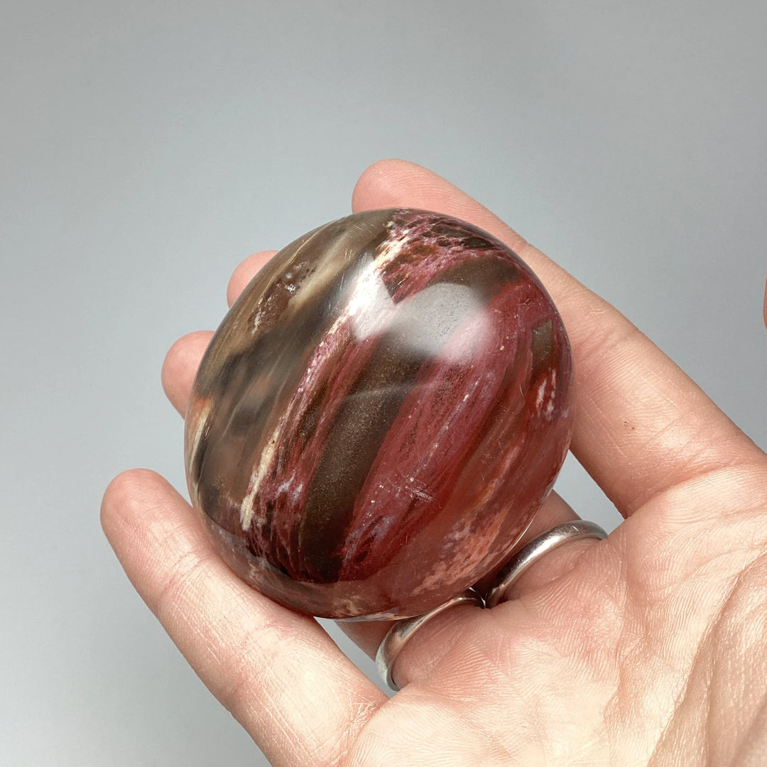 Petrified Wood Tumble - Rocks and Gems Canada