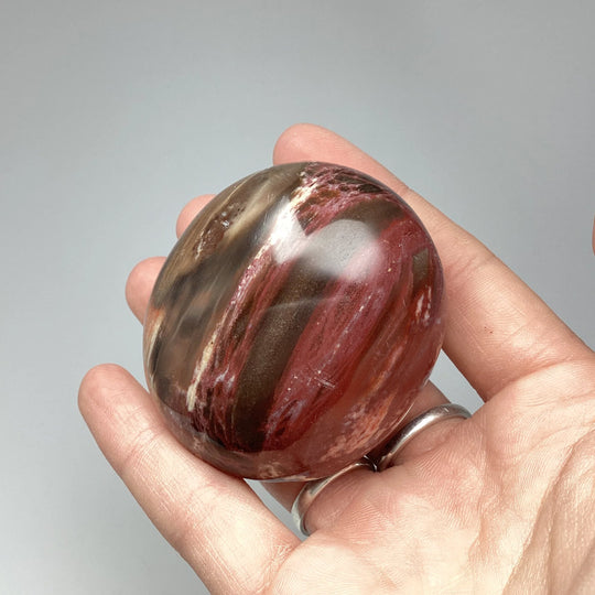 Petrified Wood Tumble - Rocks and Gems Canada