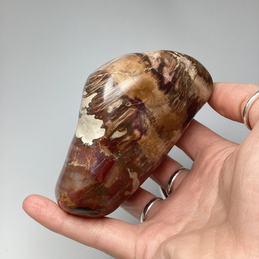 Araucaria Petrified Wood Polished Chunk - Rocks and Gems Canada
