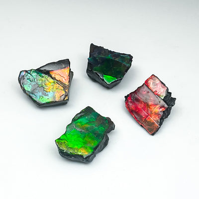 Ammolite Specimen