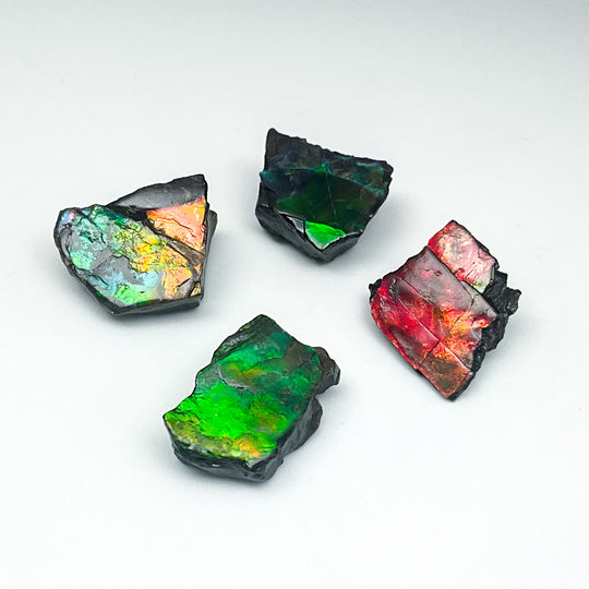 Ammolite Specimen
