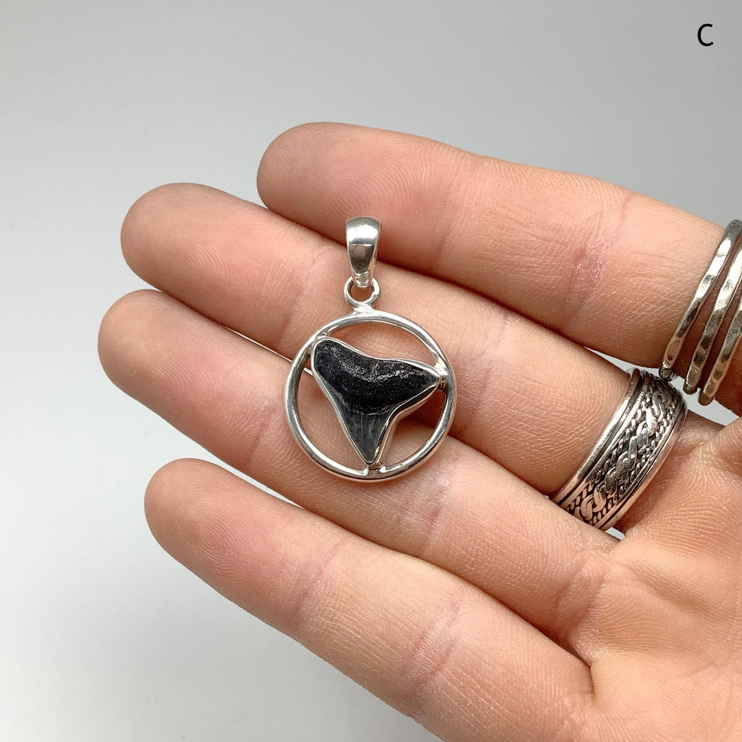 Fossilized Shark Tooth Pendant - Rocks and Gems Canada