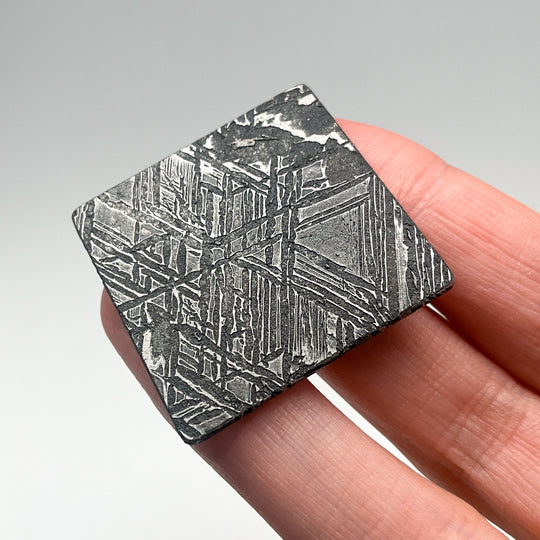 Aletai Meteorite Slice - Rocks and Gems Canada