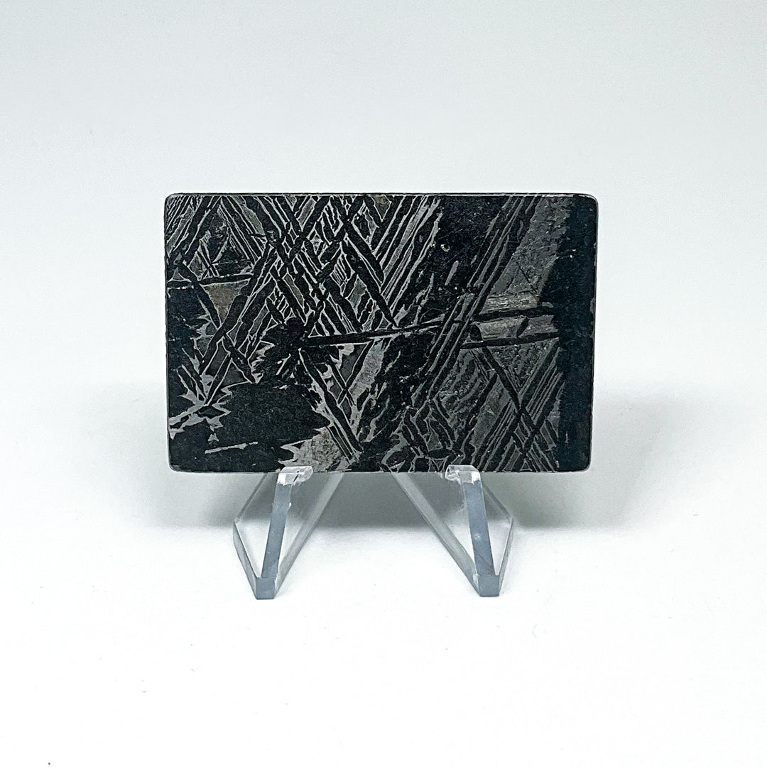 Aletai Meteorite Slice
