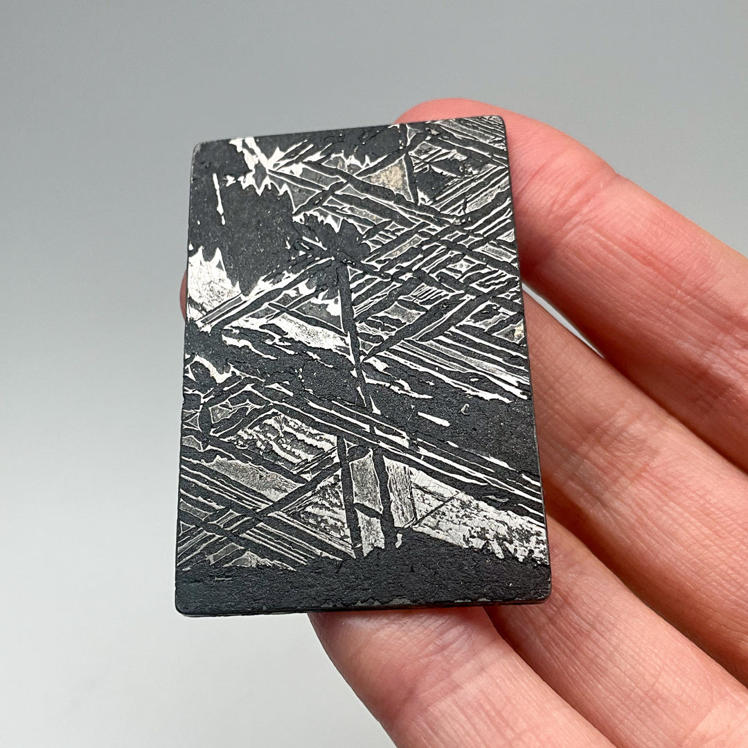 Aletai Meteorite Slice
