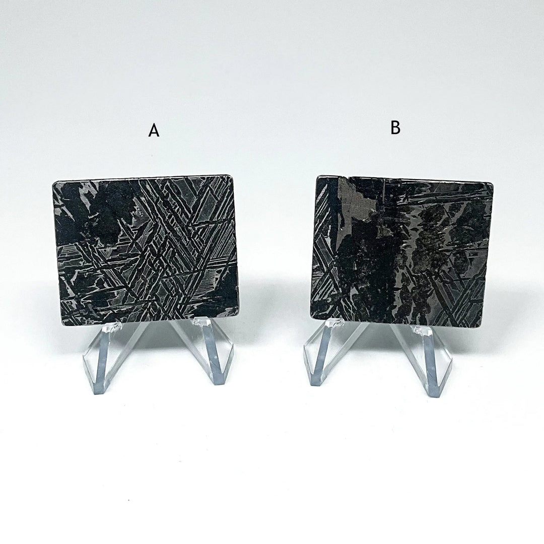 Aletai Meteorite Slice