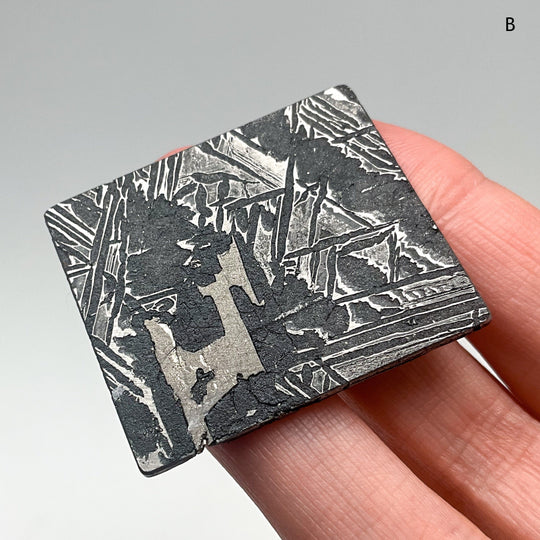 Aletai Meteorite Slice