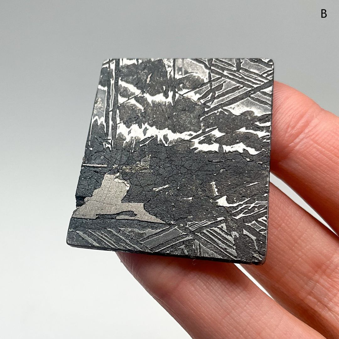 Aletai Meteorite Slice