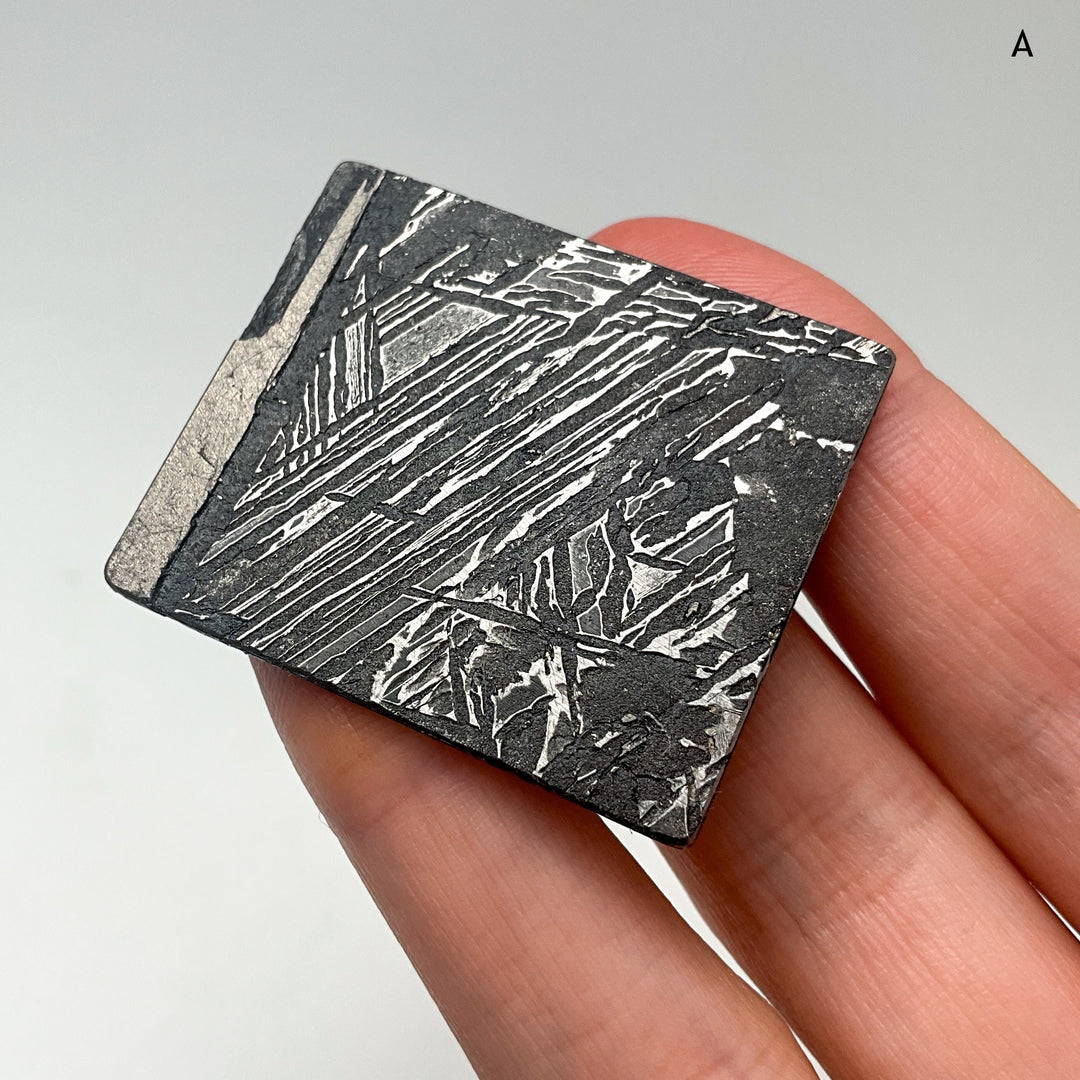 Aletai Meteorite Slice
