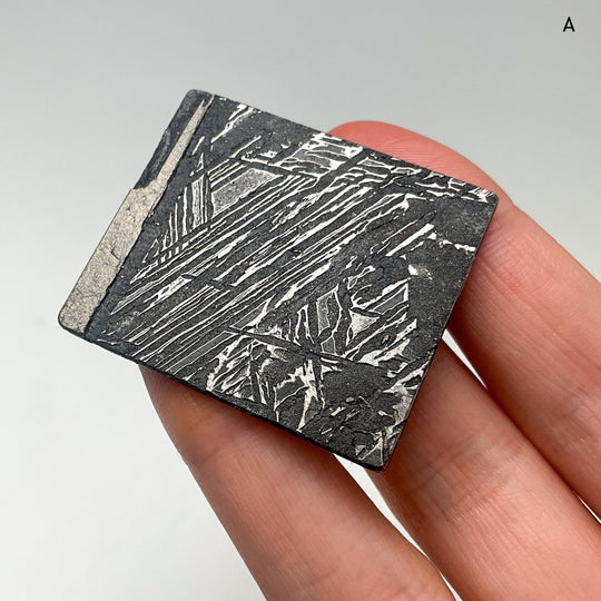 Aletai Meteorite Slice