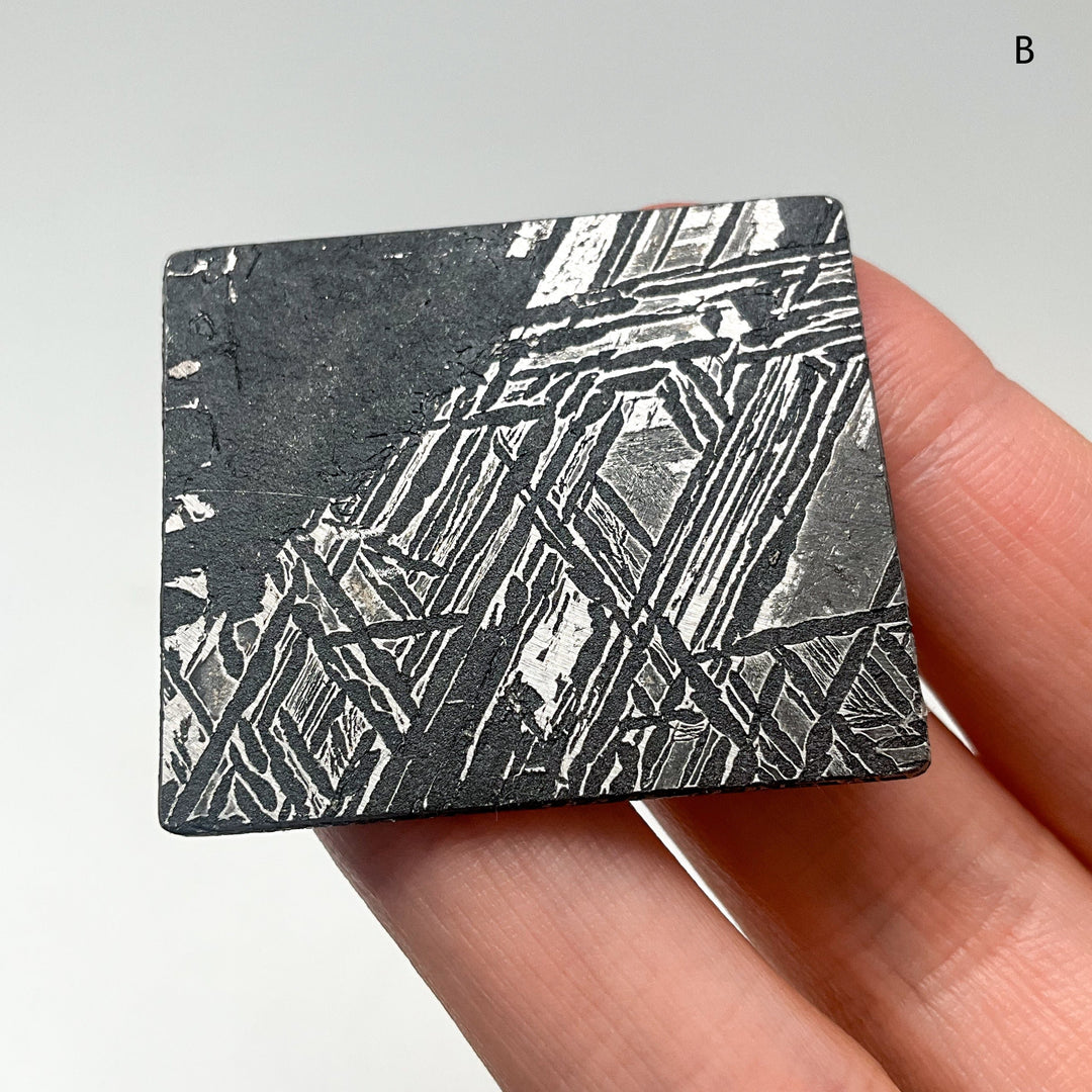 Aletai Meteorite Slice