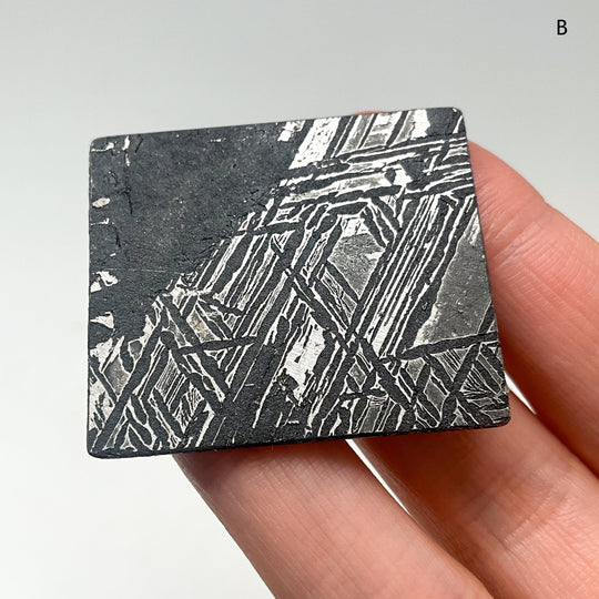 Aletai Meteorite Slice