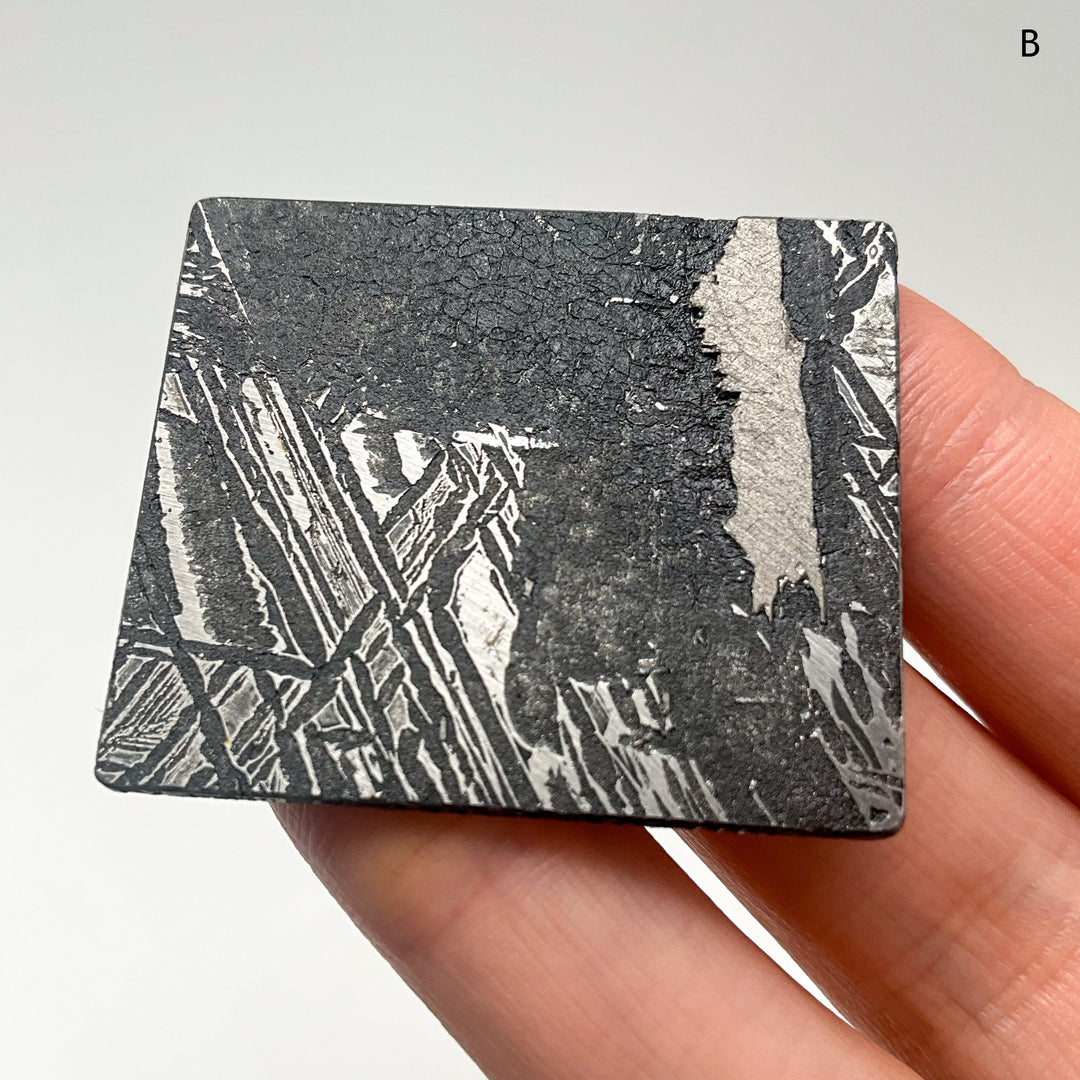 Aletai Meteorite Slice