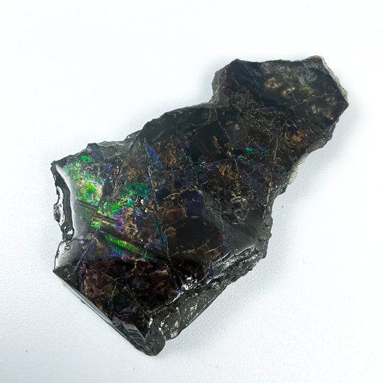 Ammolite Gem with Display Box-Rocks and Gems Canada