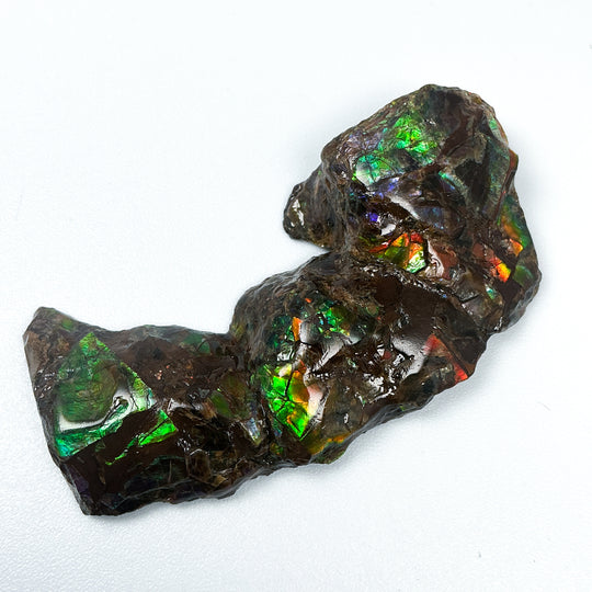 Ammolite Gem with Display Box-Rocks and Gems Canada