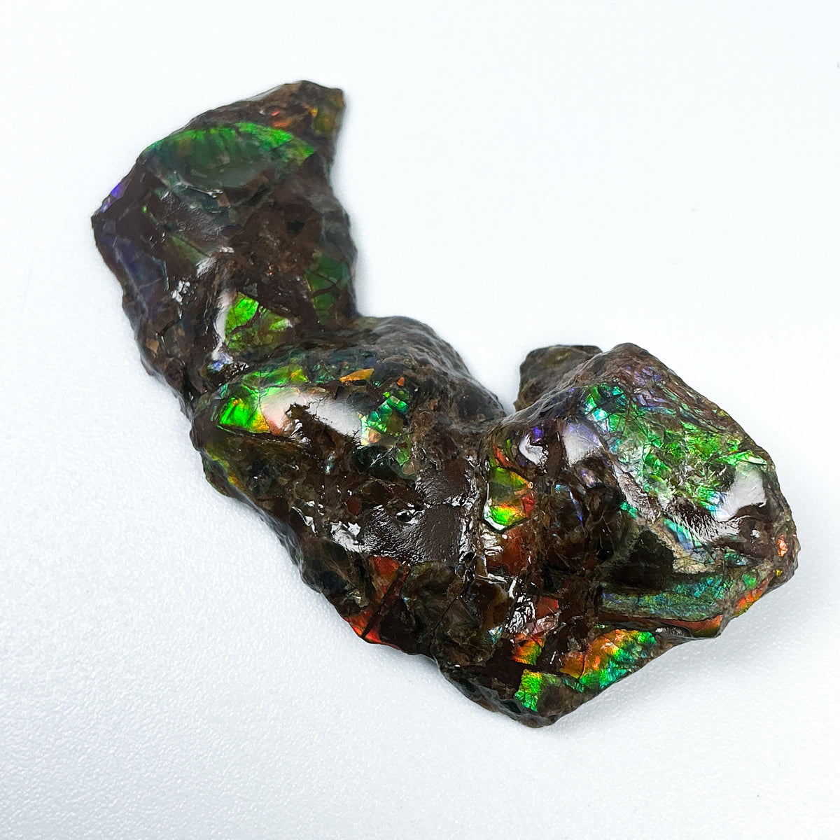 Ammolite Gem with Display Box-Rocks and Gems Canada