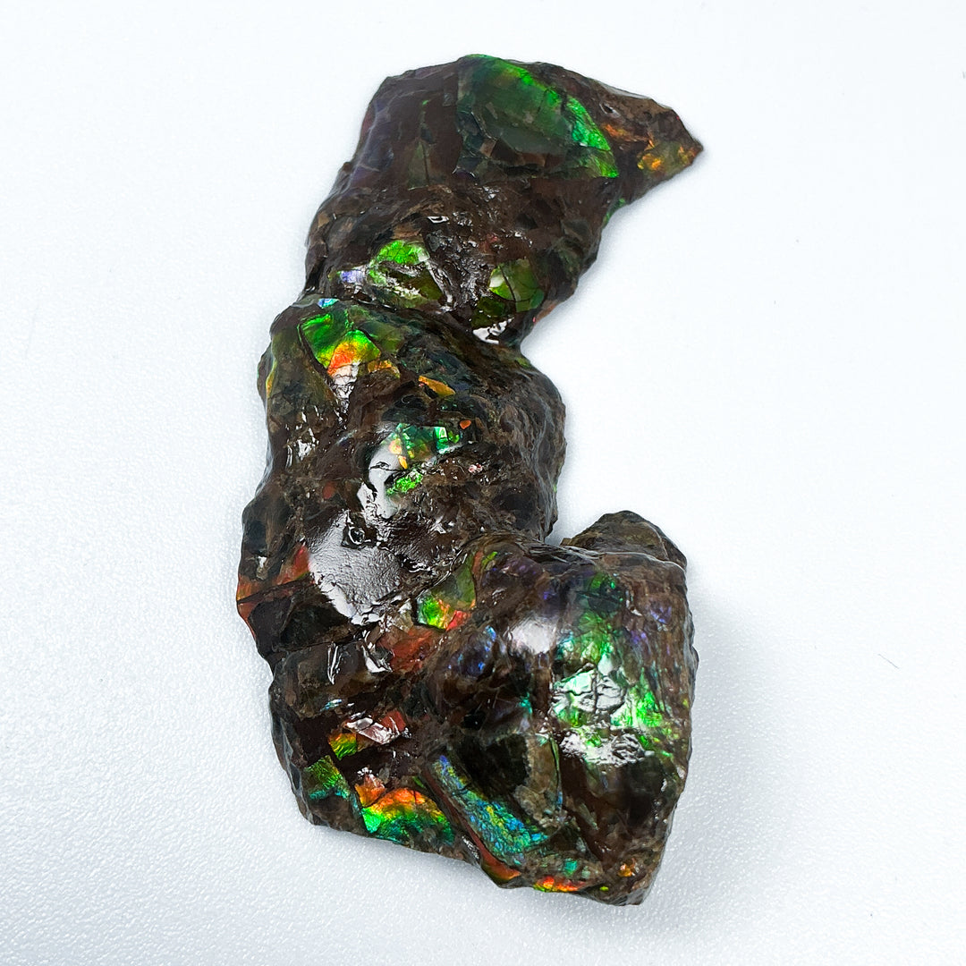 Ammolite Gem with Display Box-Rocks and Gems Canada