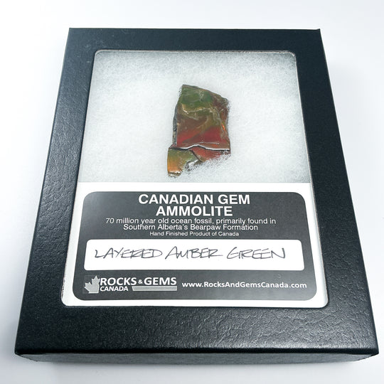Ammolite Gem with Display Box-Rocks and Gems Canada
