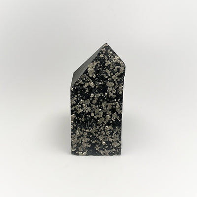 Iron Pyrite on Shungite