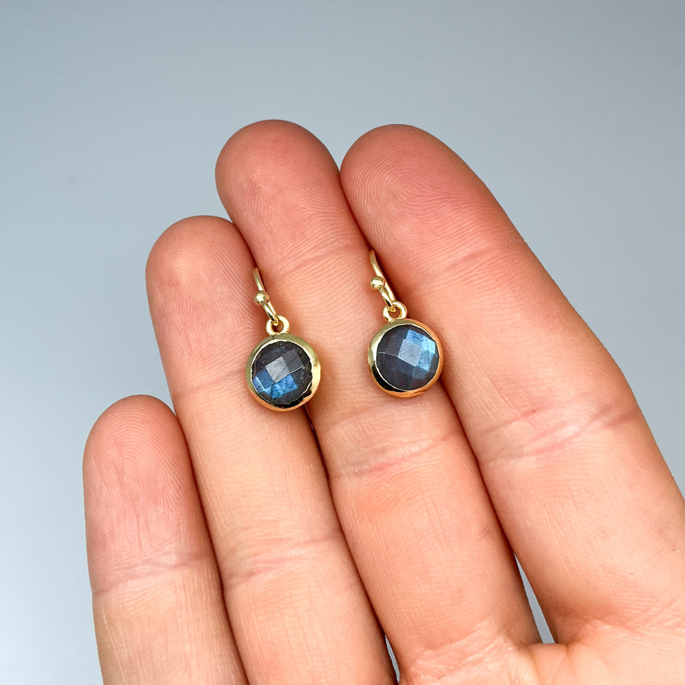 Labradorite Dangle Earrings-Rocks and Gems Canada