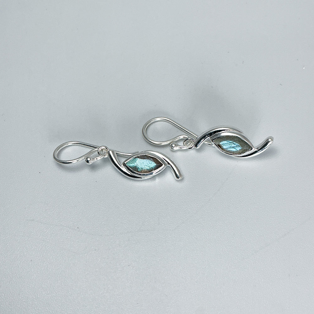 Labradorite Dangle Earrings-Rocks and Gems Canada