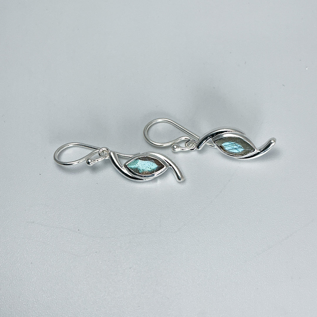 Labradorite Dangle Earrings-Rocks and Gems Canada