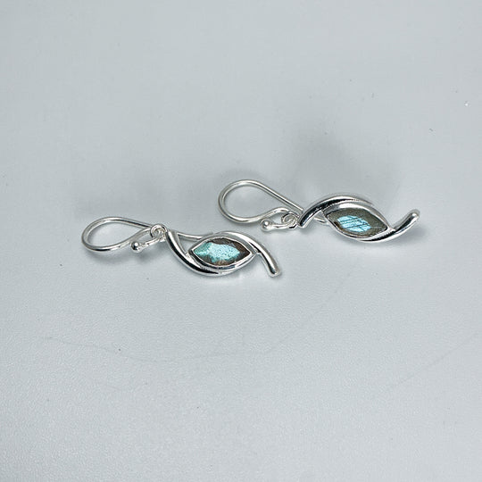 Labradorite Dangle Earrings-Rocks and Gems Canada