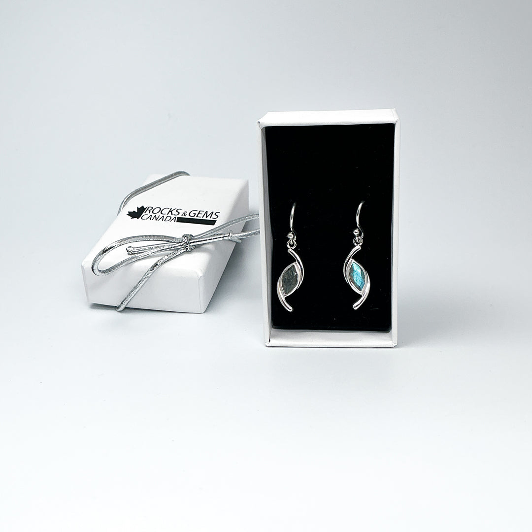 Labradorite Dangle Earrings-Rocks and Gems Canada