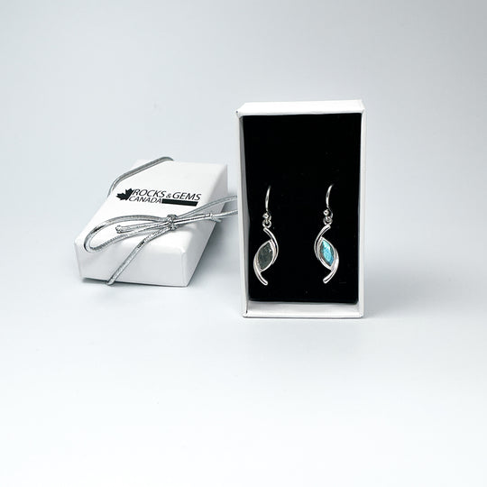 Labradorite Dangle Earrings-Rocks and Gems Canada