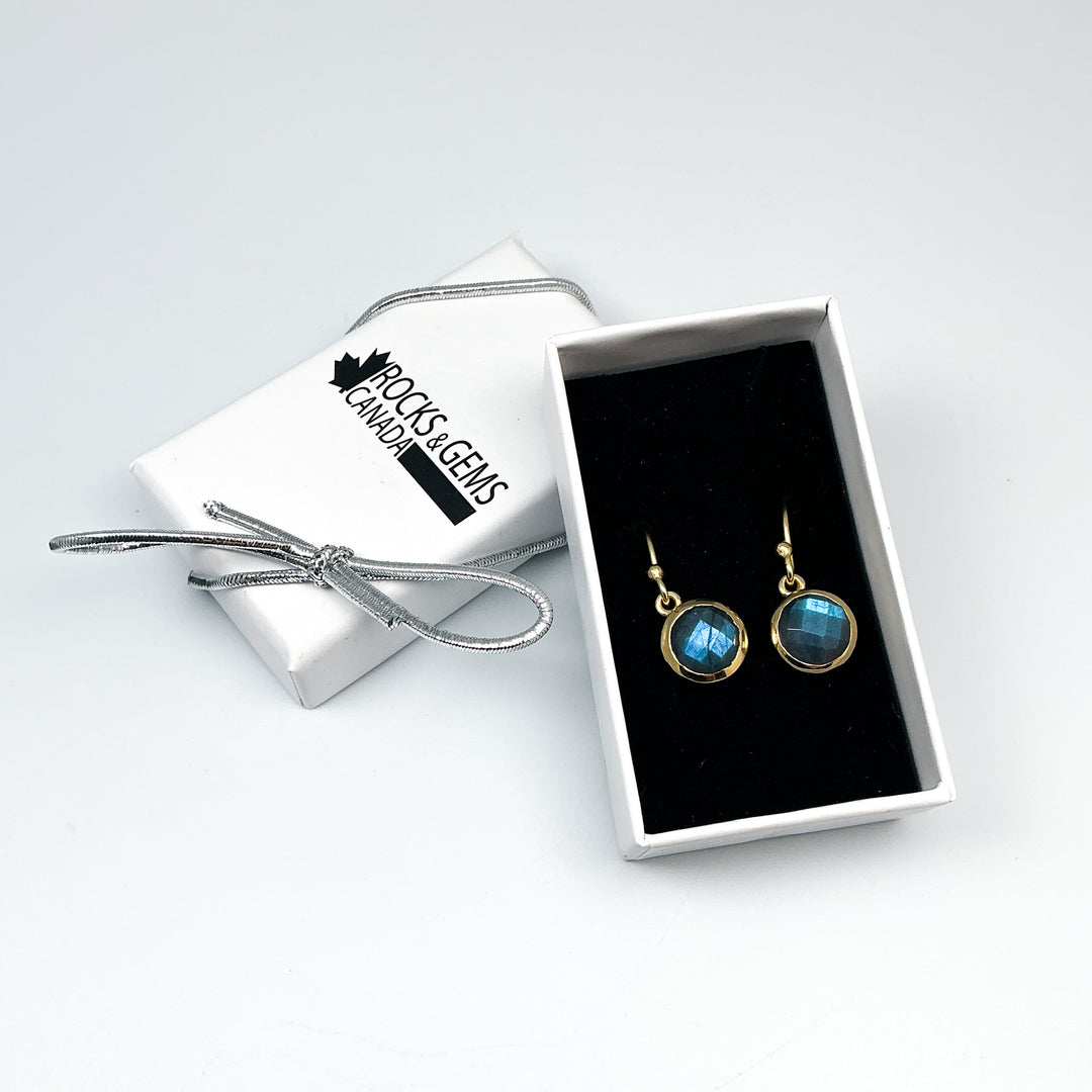 Labradorite Dangle Earrings-Rocks and Gems Canada
