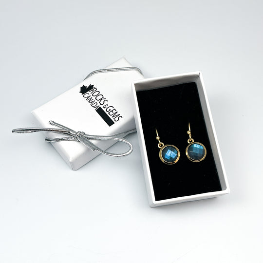 Labradorite Dangle Earrings-Rocks and Gems Canada