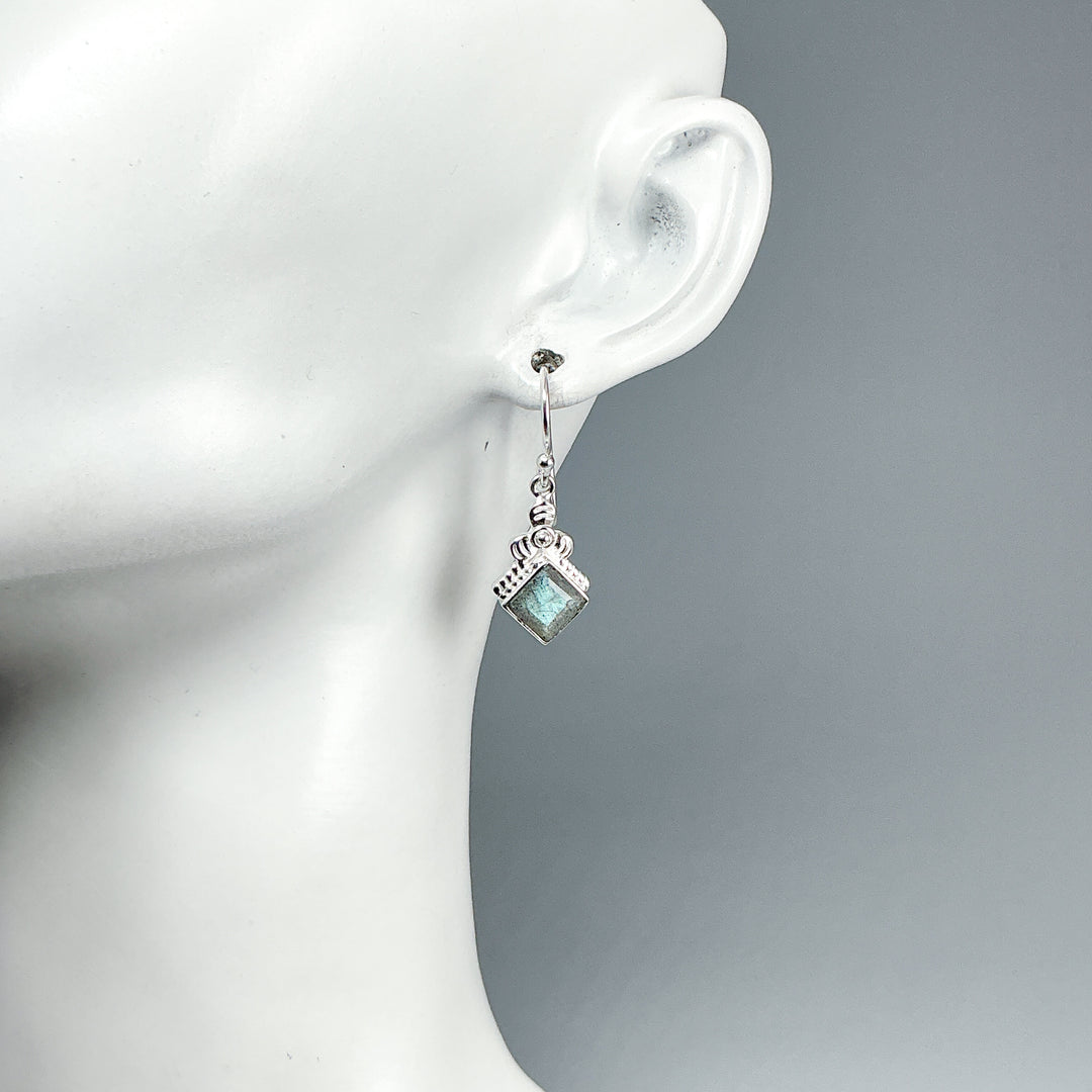 Labradorite Dangle Earrings-Rocks and Gems Canada