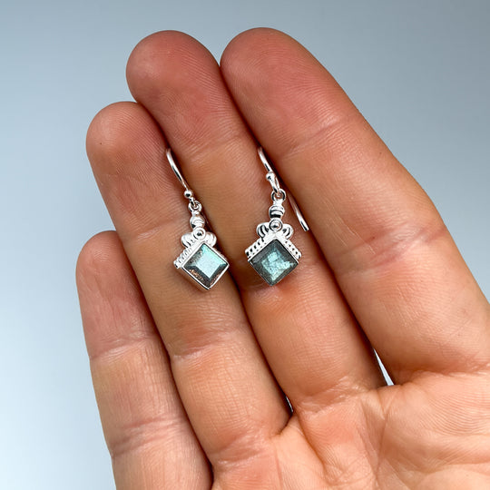 Labradorite Dangle Earrings-Rocks and Gems Canada
