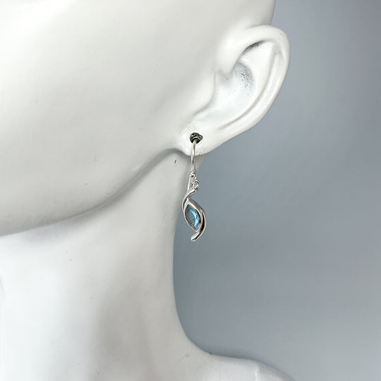 Labradorite Dangle Earrings-Rocks and Gems Canada