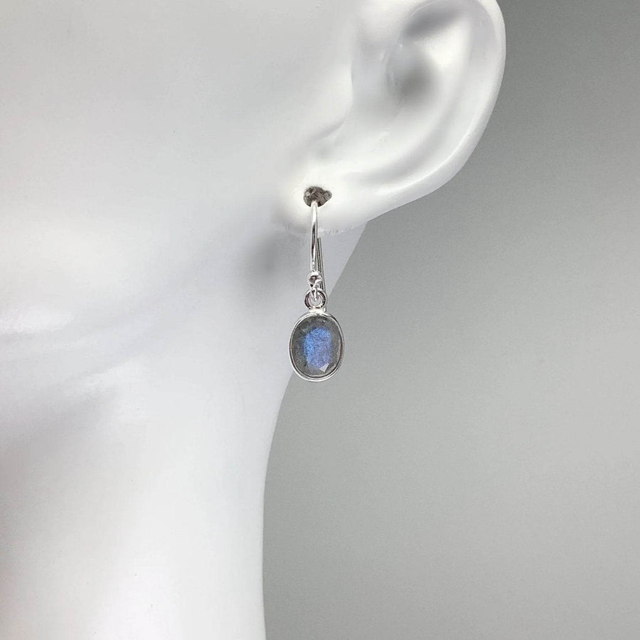 Labradorite Dangle Earrings-Rocks and Gems Canada